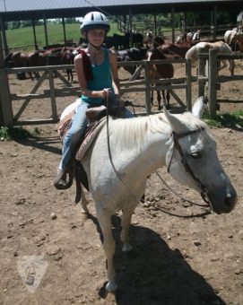 Anokijig Ranch Horse program